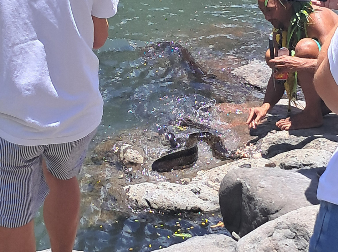 Marama Safari 4x4-法阿必去景点