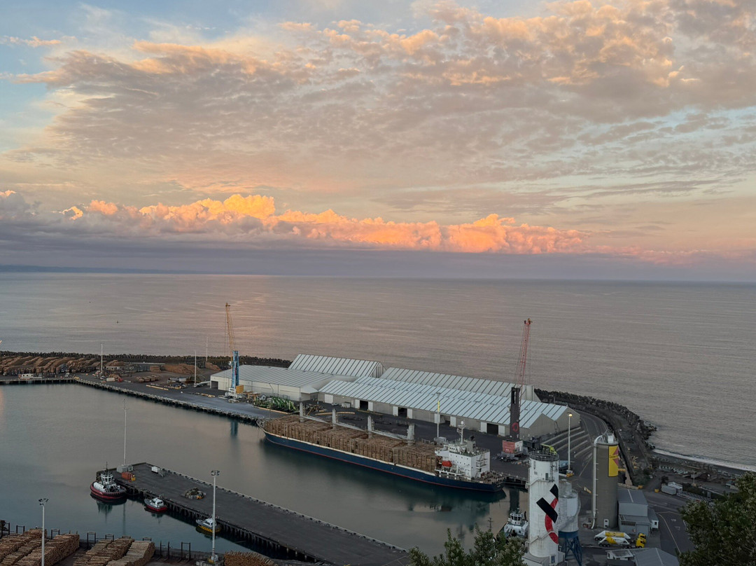 Bluff Hill Lookout-纳皮尔必去景点