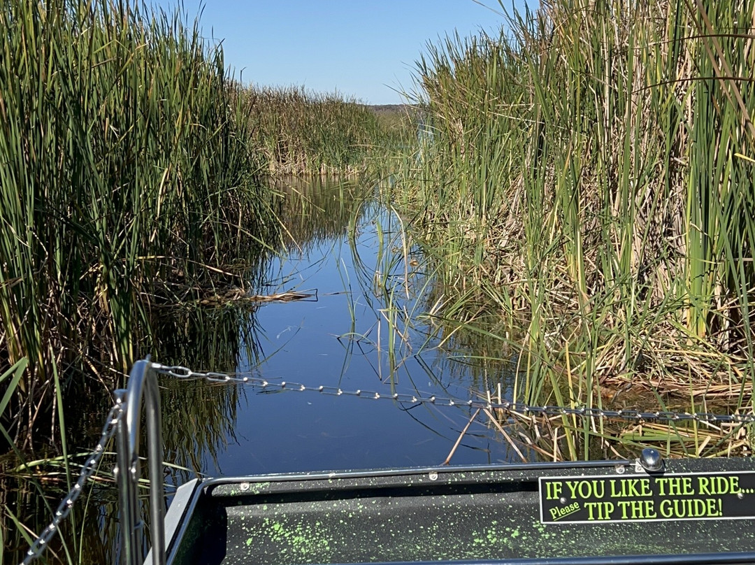 Swamp Fever Airboat Adventures-Lake Panasoffkee必去景点