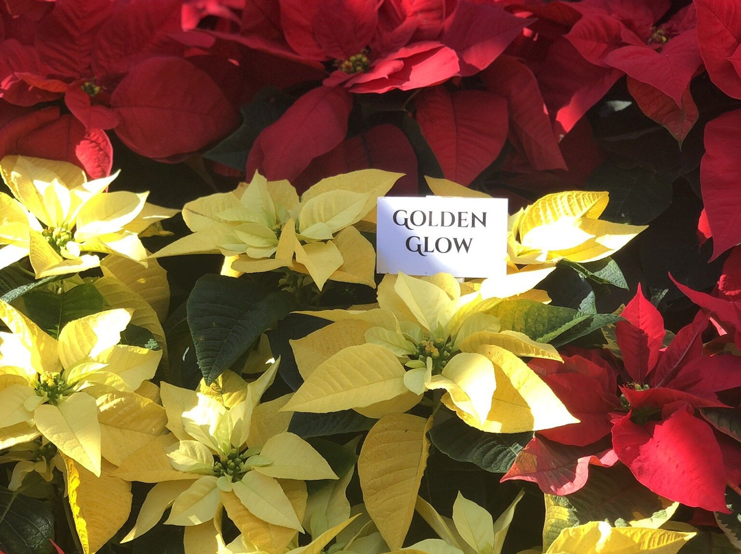 Ventura Botanical Gardens-文图拉县必去景点