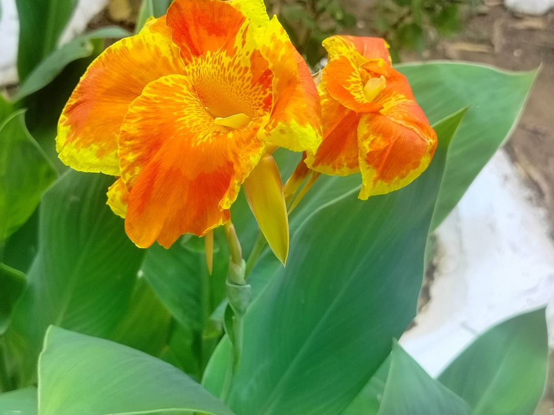 Aperion Beach Hotel Antalya主图