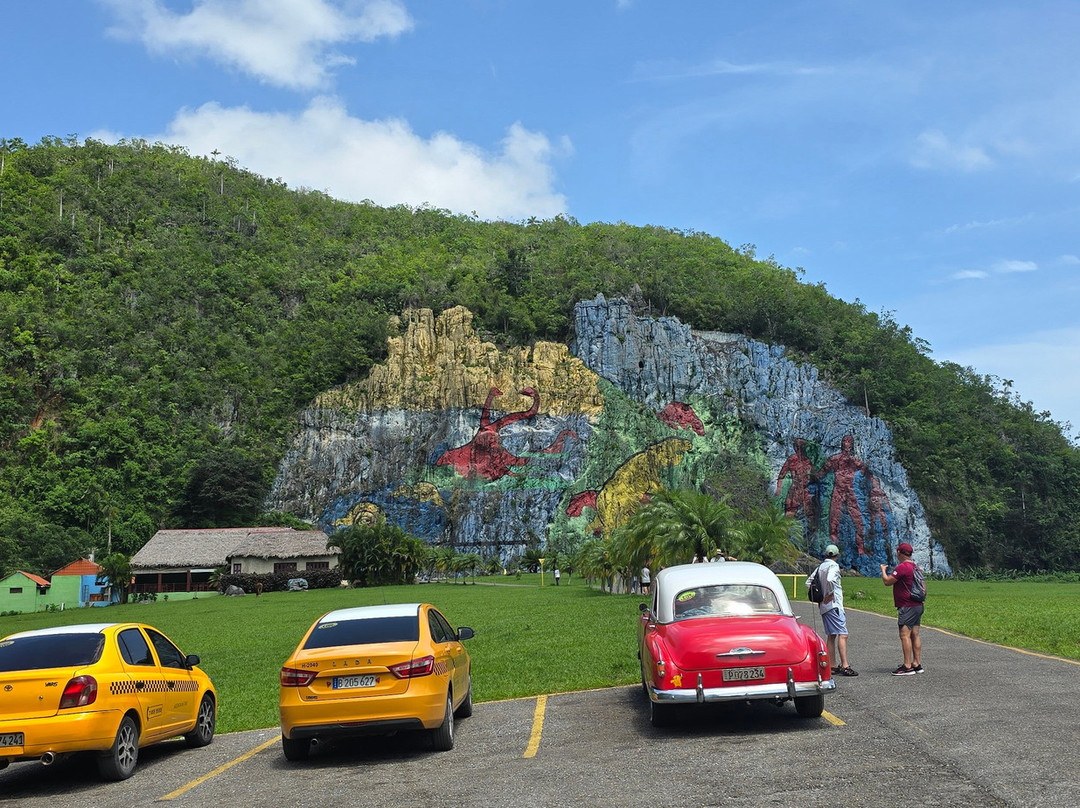 Authentic Tour Delivery-null必去景点