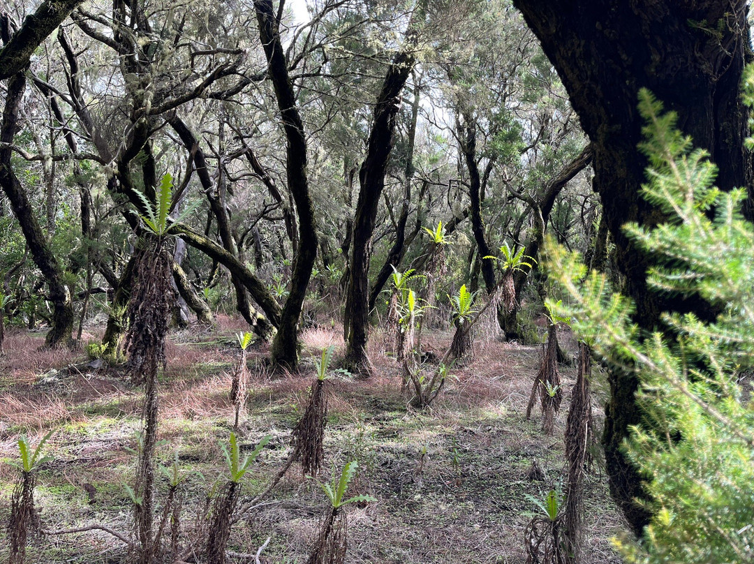 Timah-La Puntilla必去景点