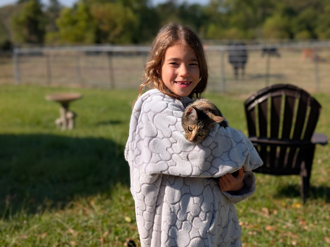 Gardner Tours-哈瓦那必去景点