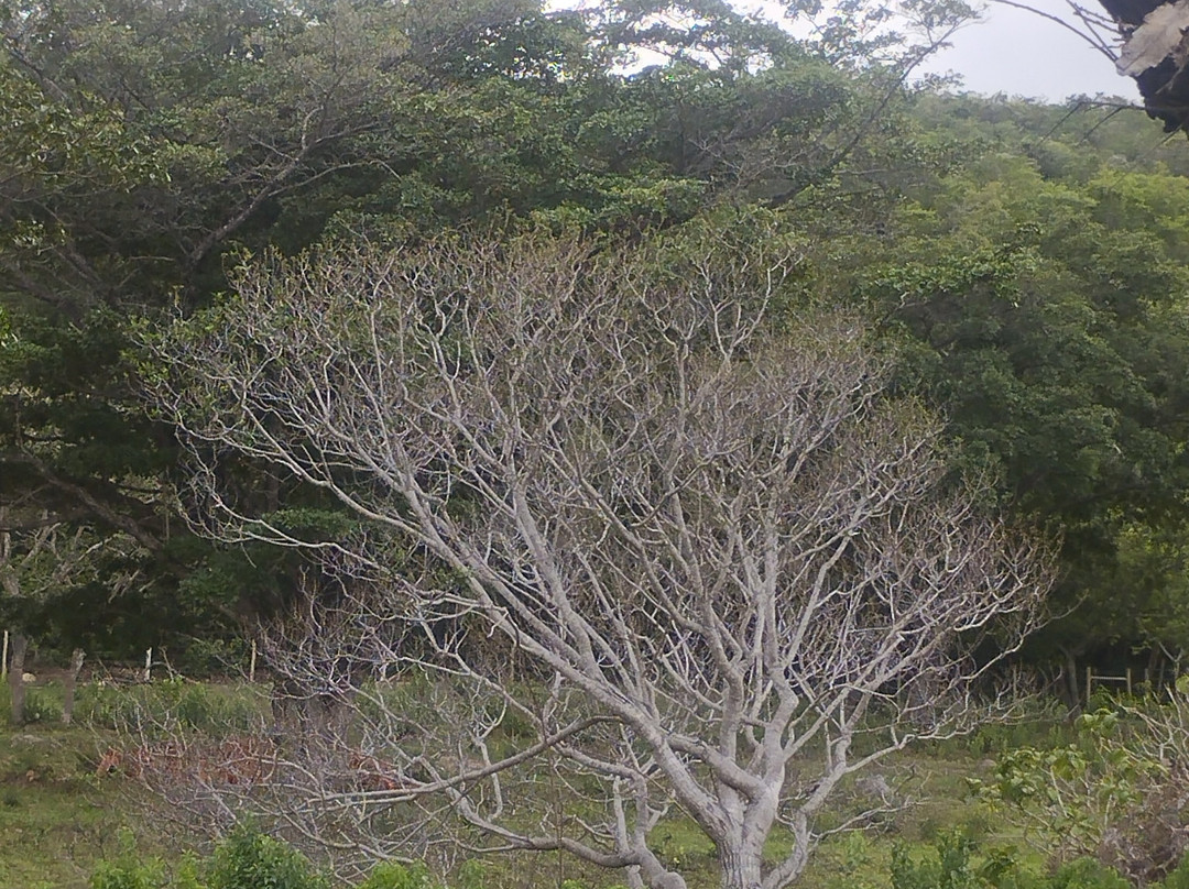 Cachoeira Da Serra, Pousada e Chales主图