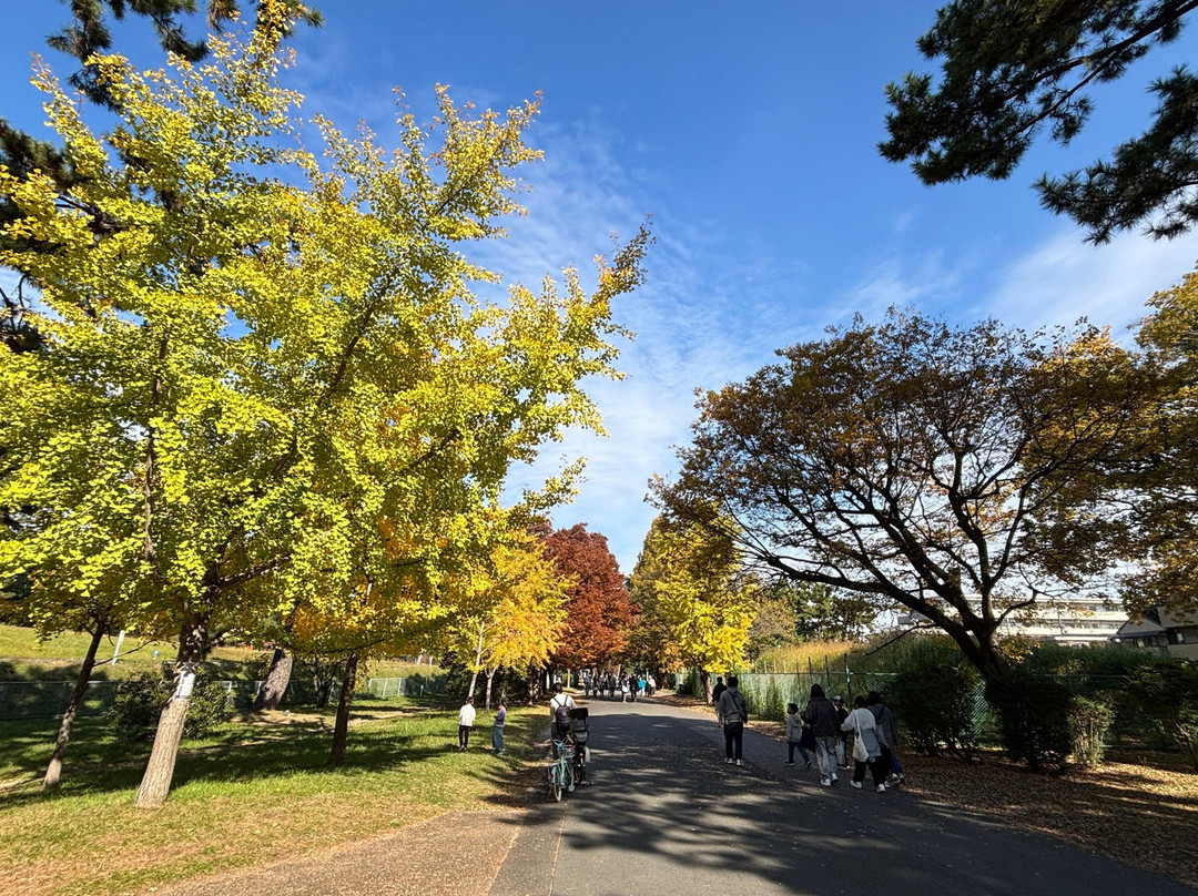 Hamadera Park-坂井市必去景点