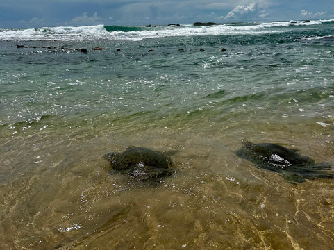 Sam Tours Sri Lanka-卡卢特勒必去景点