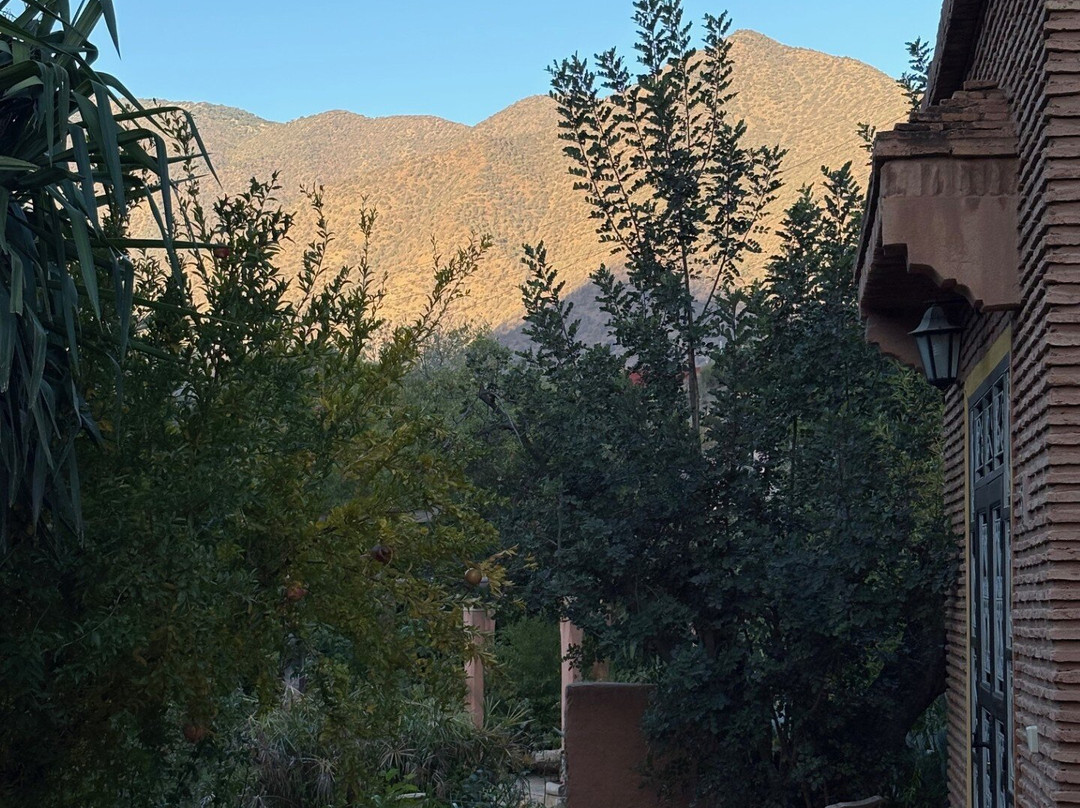 Domaine De La Roseraie主图