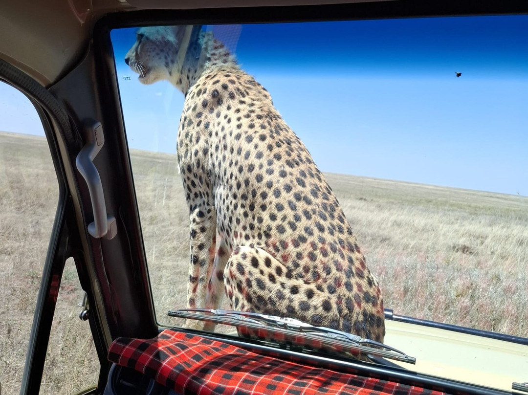 Unlimited Expeditions - The Soul Of Tanzania-阿鲁沙必去景点