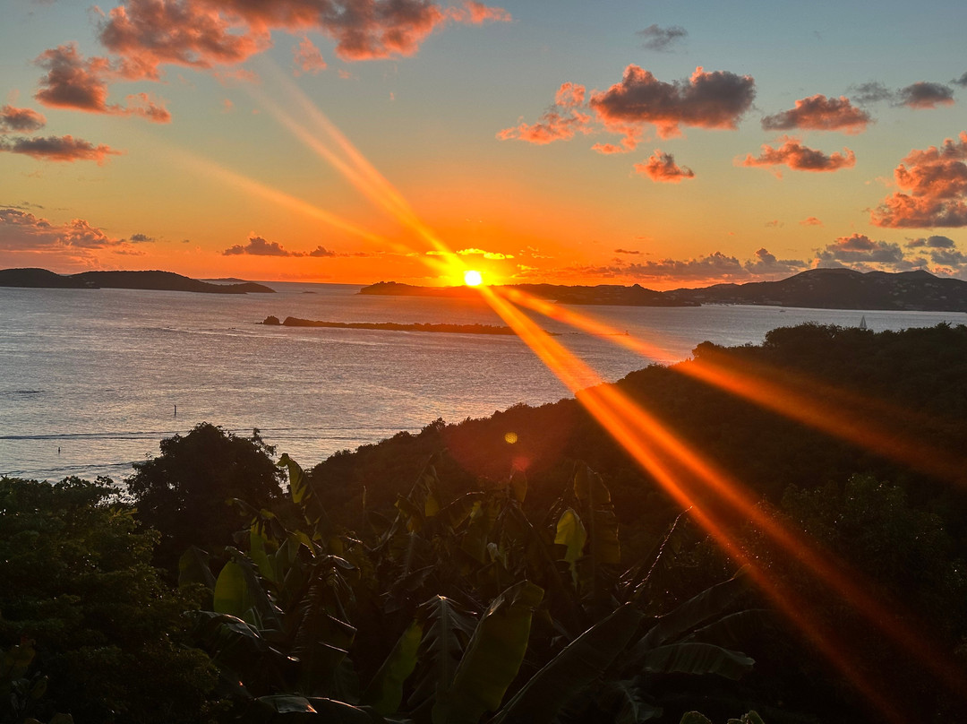 Estate Lindholm主图