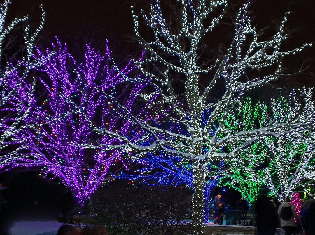 Morton Arboretum-Lisle必去景点