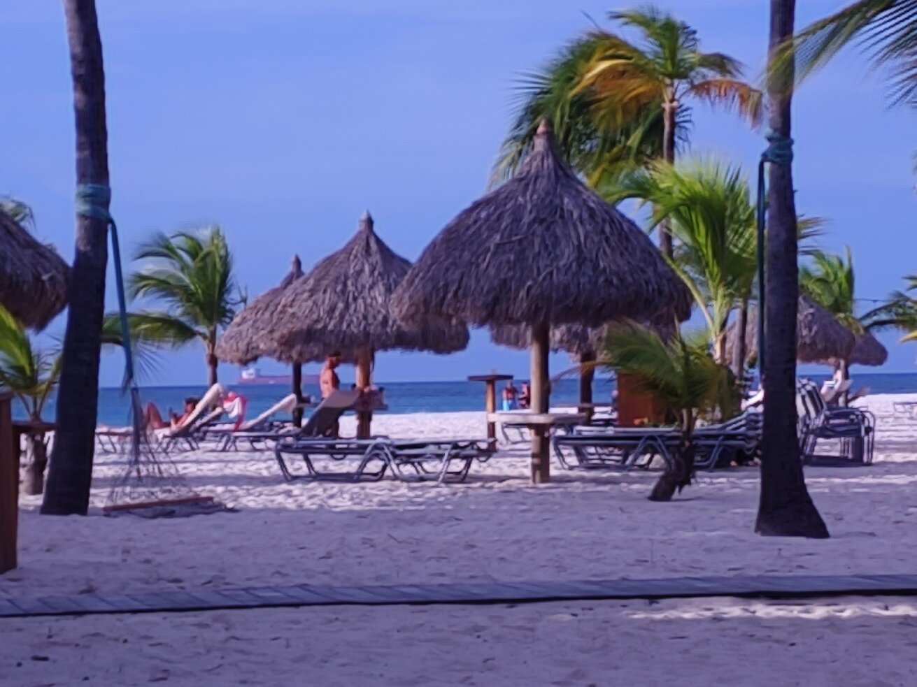 Manchebo Beach Resort & Spa-官方