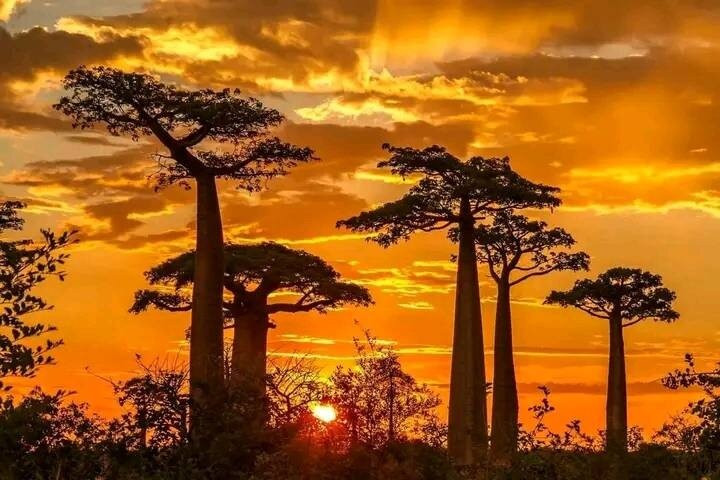 Friendly Tour Guide Madagascar-安塔那那利佛必去景点