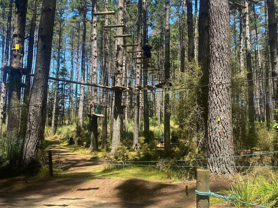Tree Adventures-伍德山必去景点