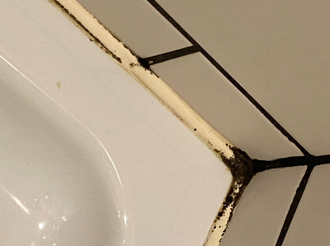 Eklo Hotels Lille主图