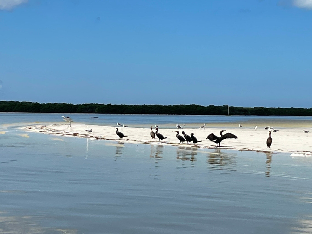 Xplore Mexique-梅里达必去景点