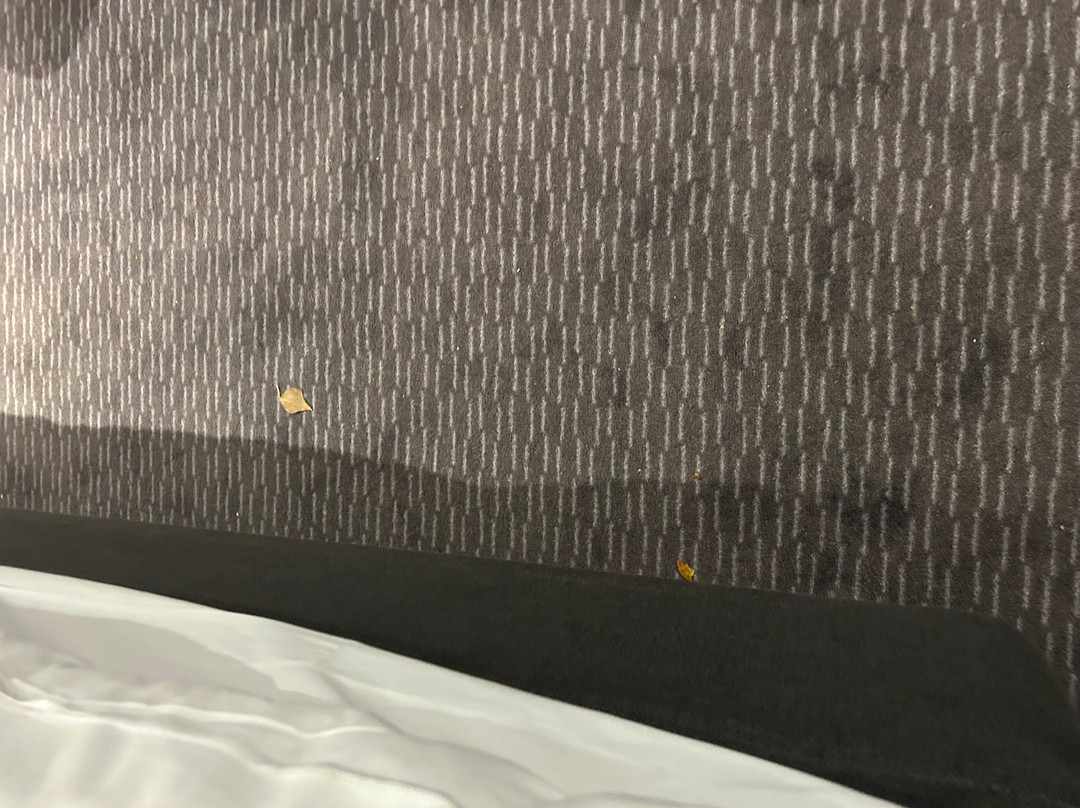 Holiday Inn Express Bicester By IHG主图