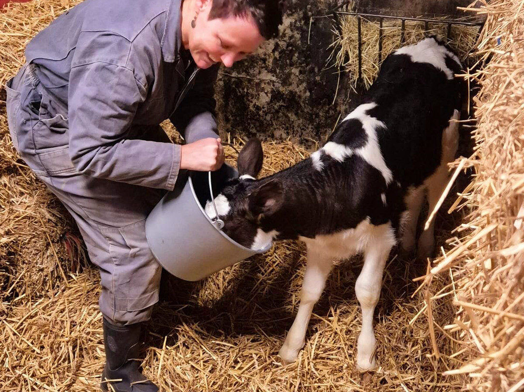 De Knuffelboerderij-Uddel必去景点