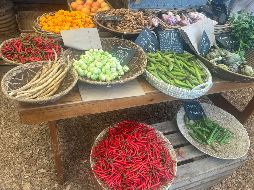 Oranjezicht City Farm-开普敦中心区必去景点