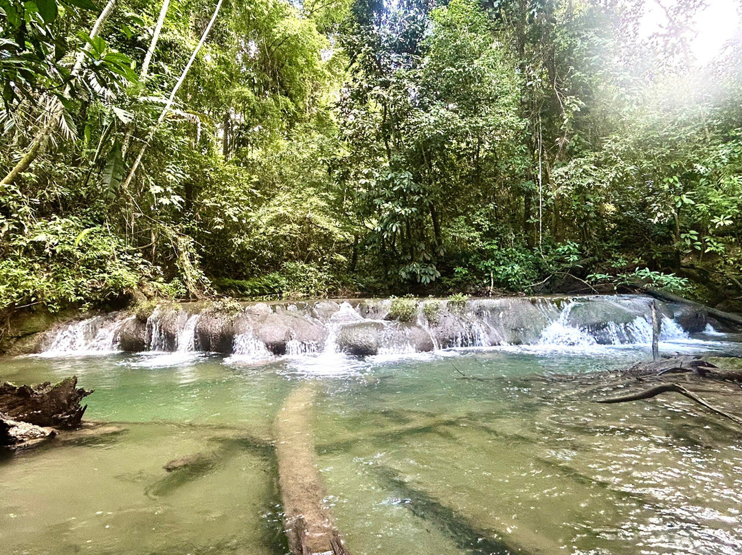 Explora Travel México (ecochiapas)| Rafting Selva Lacandona | Lacanjá Chasayab-Bonampak必去景点