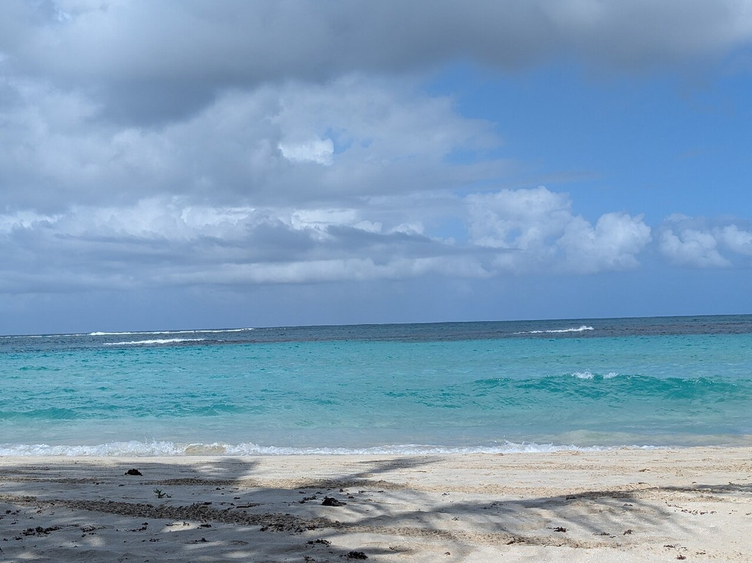 Beep Beep Jeep-圣胡安必去景点