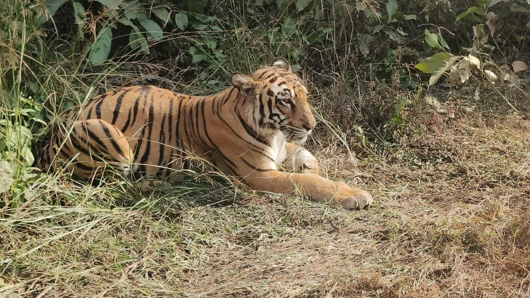 Rajgir Wildlife Sanctuary-Nalanda必去景点