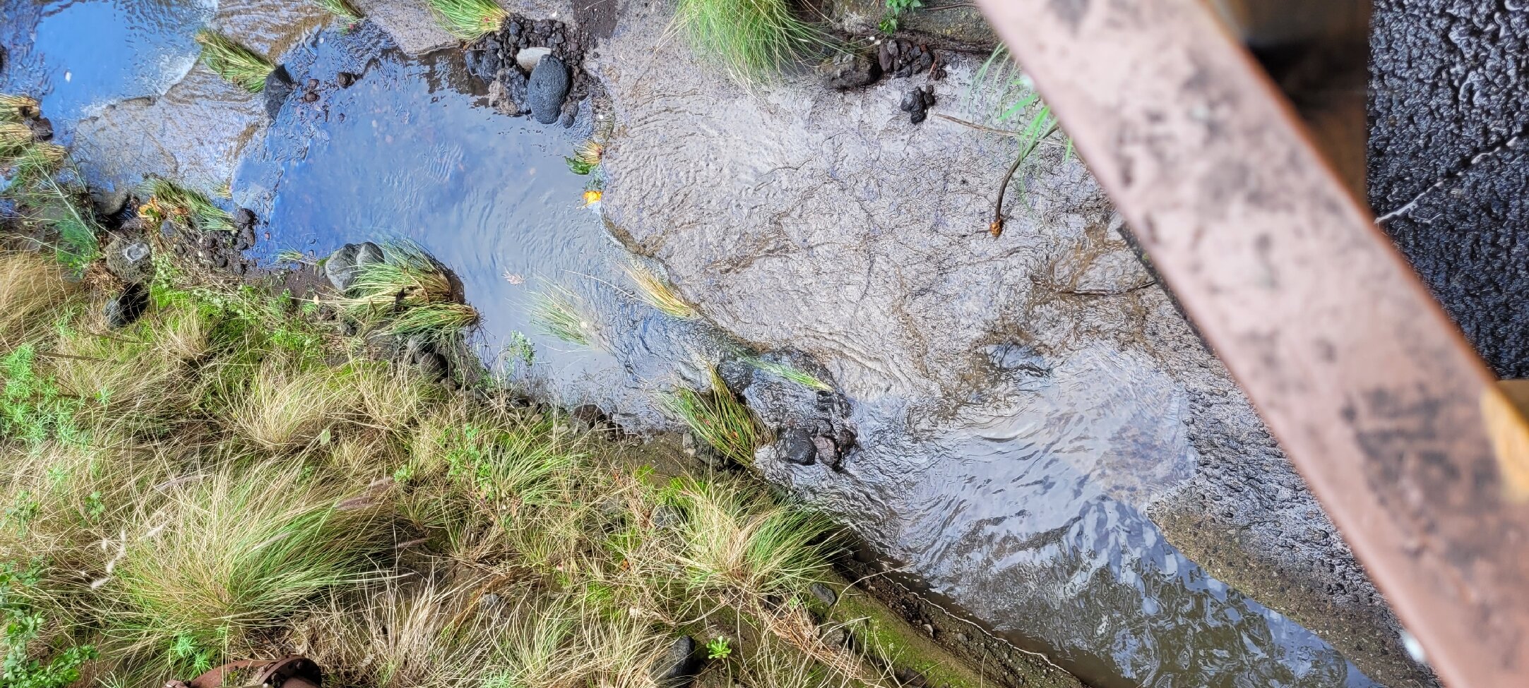 Parque Vacacional Eden-官方