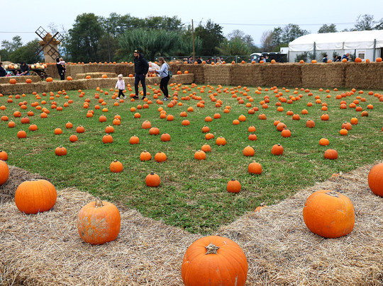 Il Villaggio della Zucca-Favria必去景点