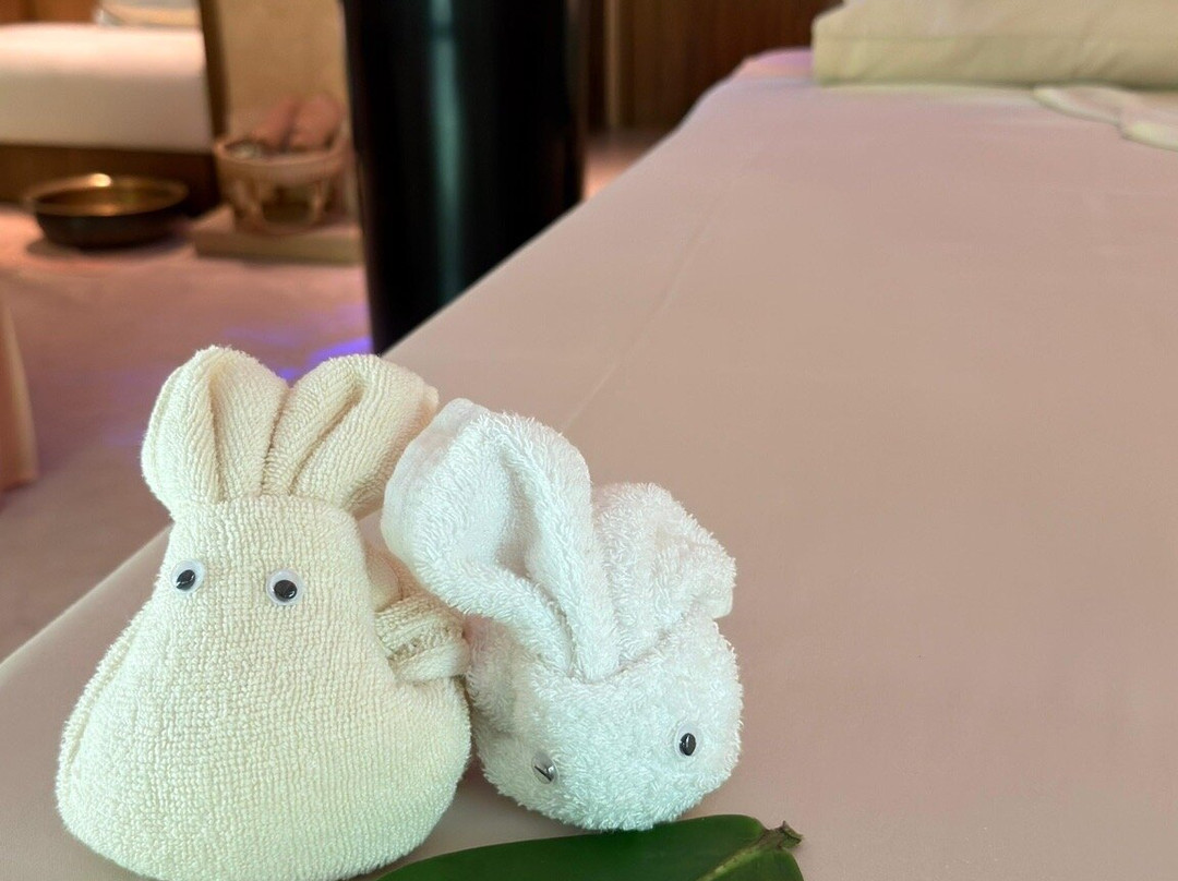 Sunyata Spa & Wellness Island Escape Burasari-Coconut Island必去景点