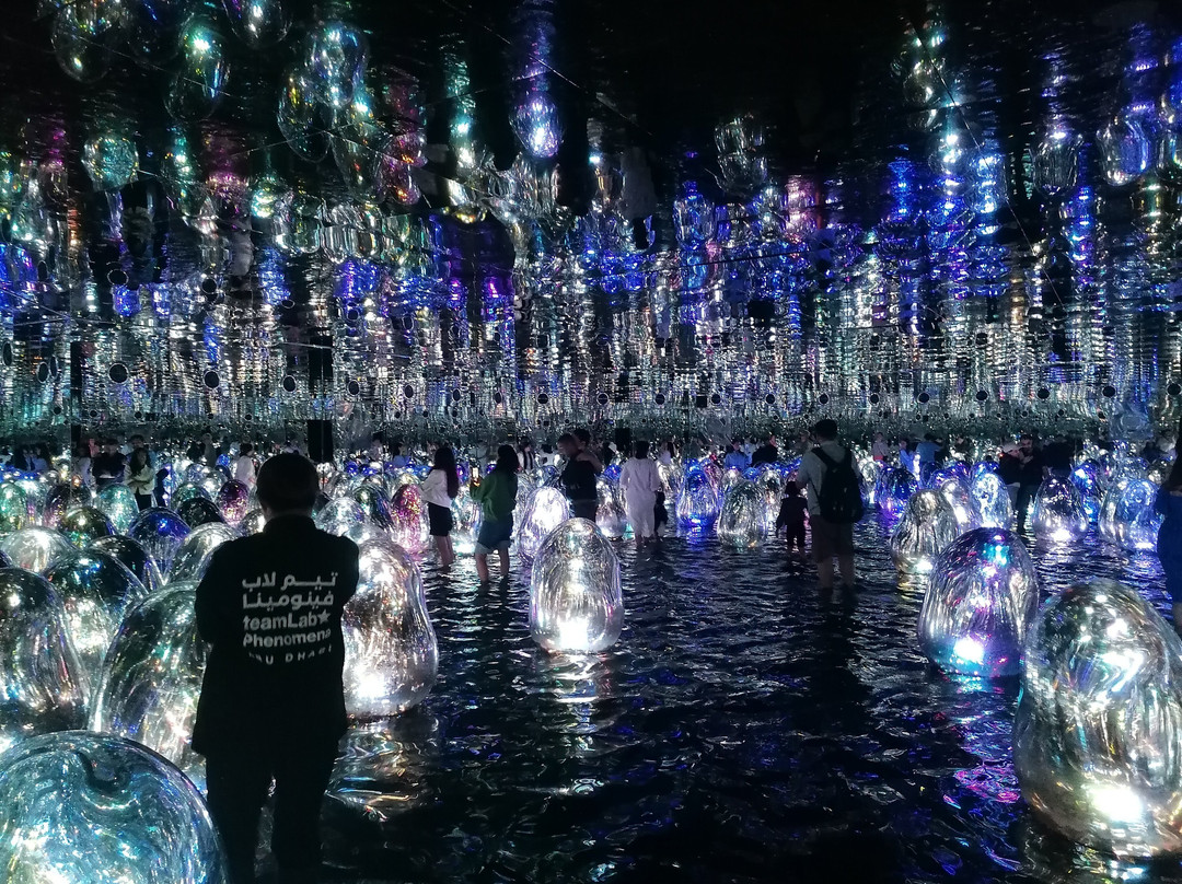 teamLab Phenomena Abu Dhabi-阿布扎比必去景点