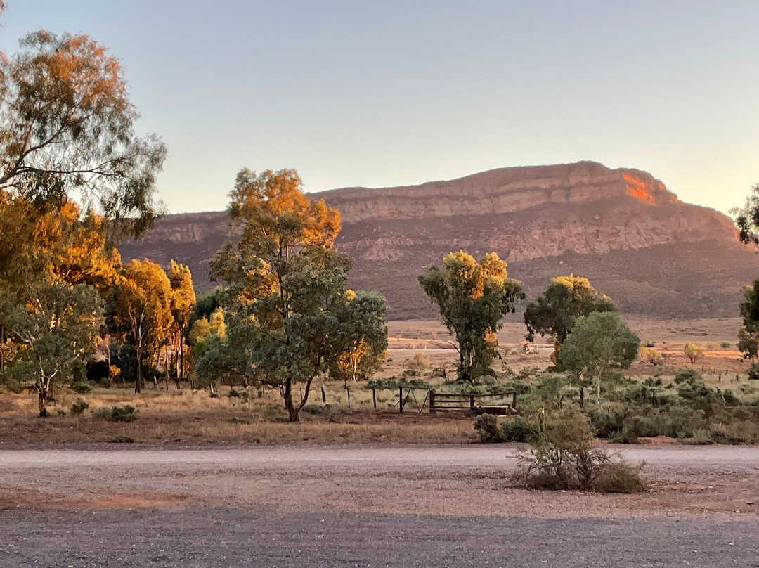 Flinders Ranges National Park-霍克必去景点