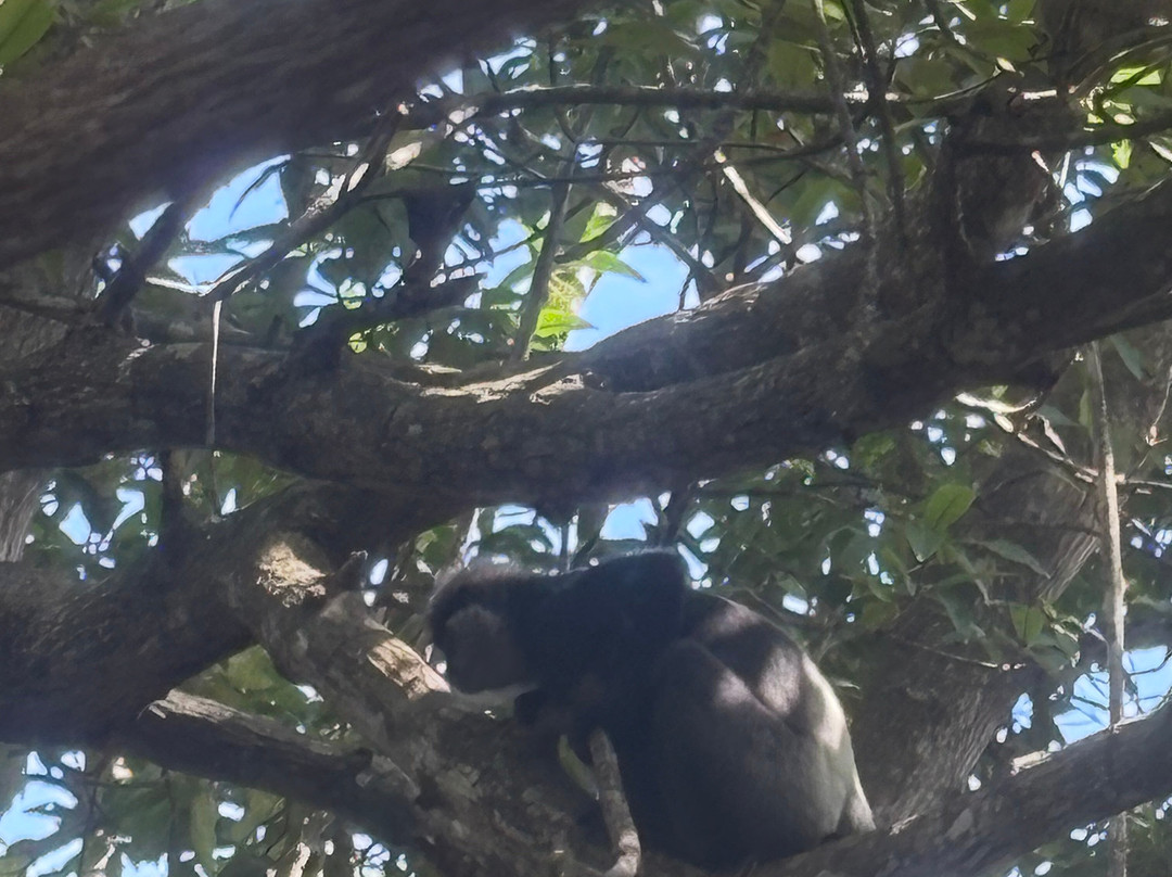 Lucky Boat Safari-班托塔必去景点