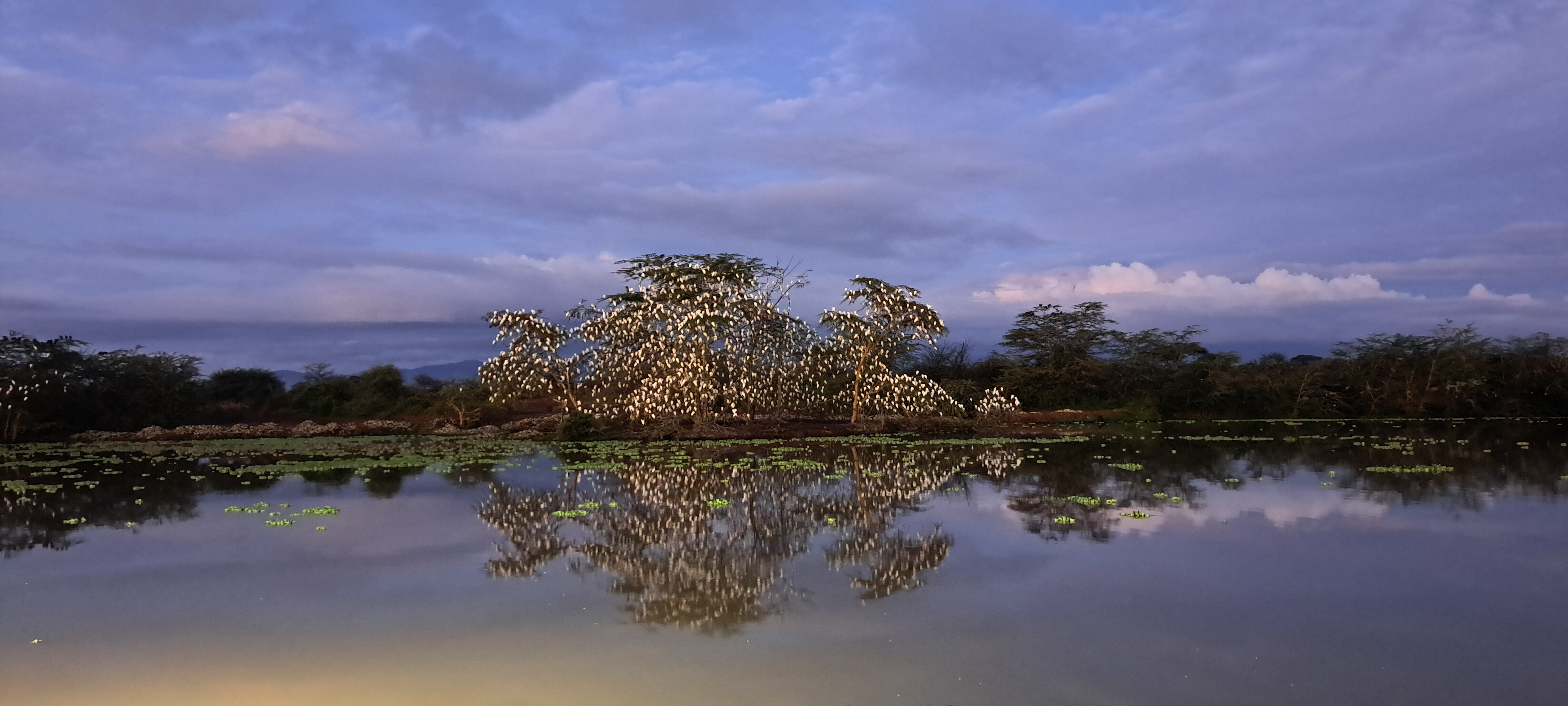 Voyager Ziwani Camp-官方