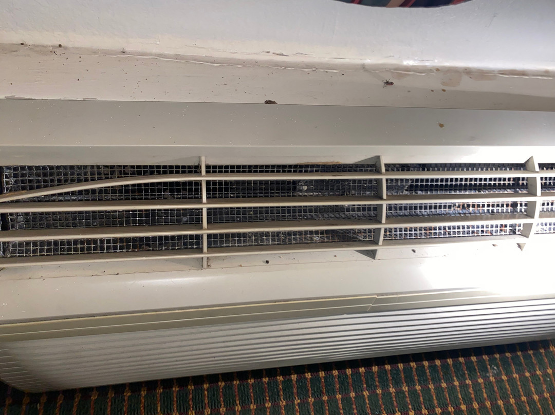 Red Roof Inn & Suites Hermitage主图