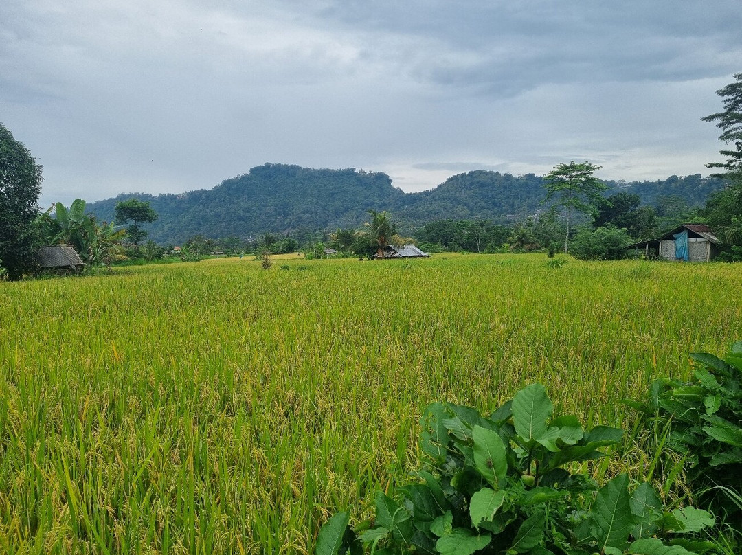 Yellow Bridge Tukad Yeh Unda-席德门必去景点