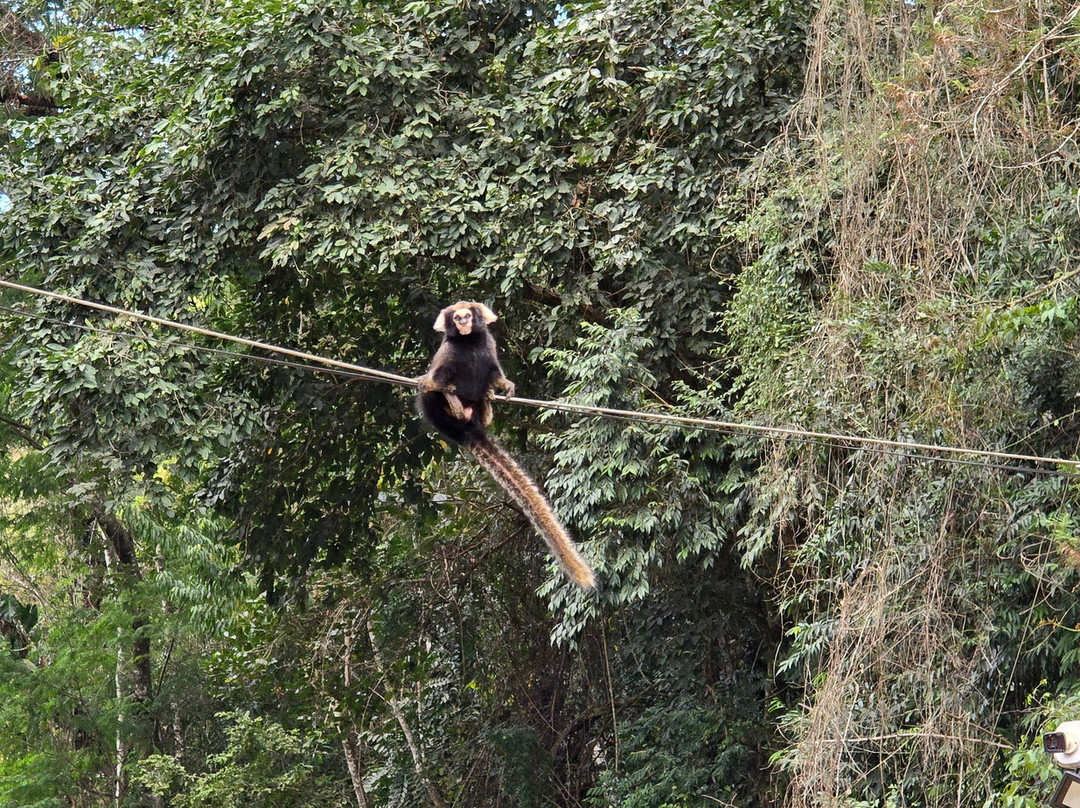 Parque das Aguas-Sao Lourenco必去景点