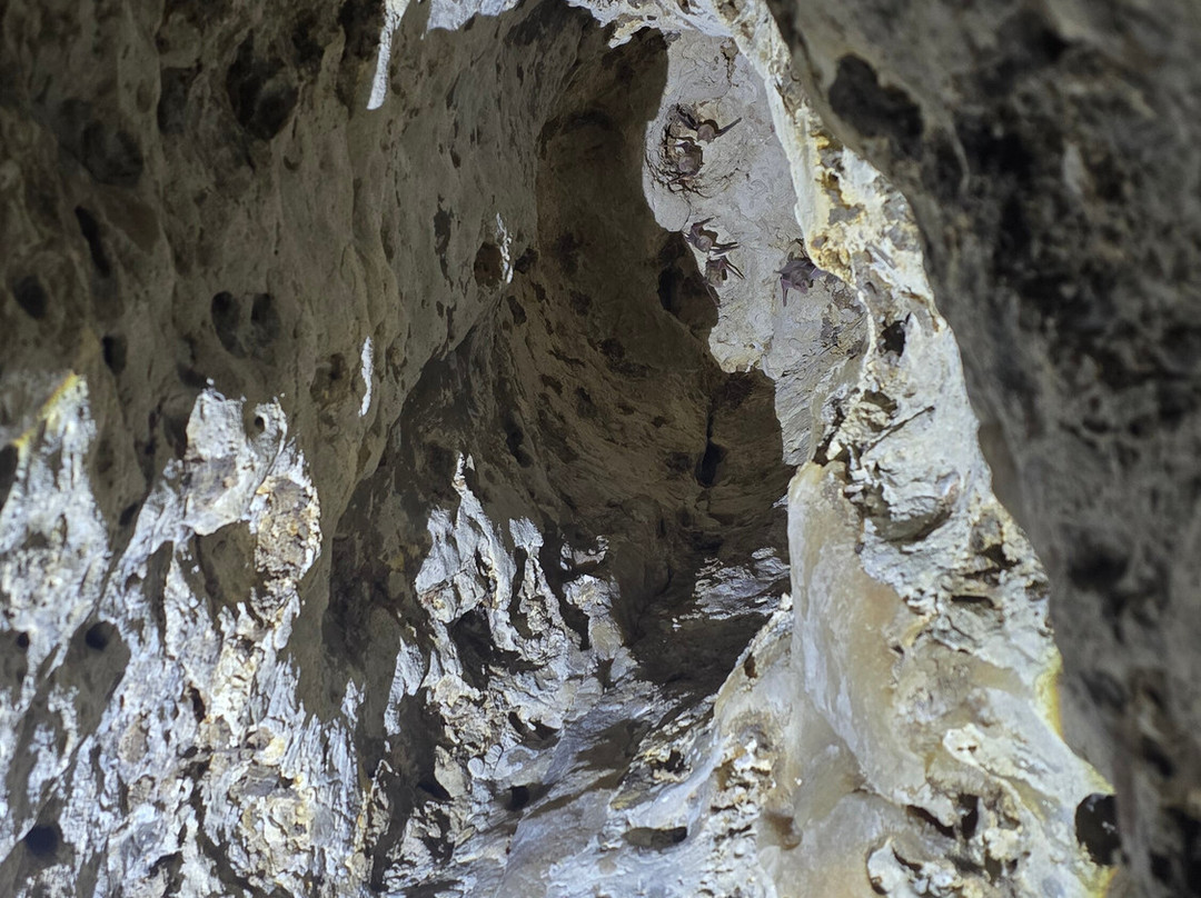 Riyadh Trips-利雅德必去景点