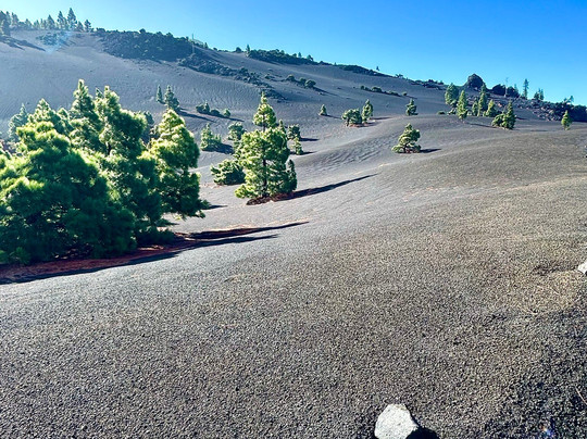 Graja Tours-巴尔玛圣库鲁斯必去景点