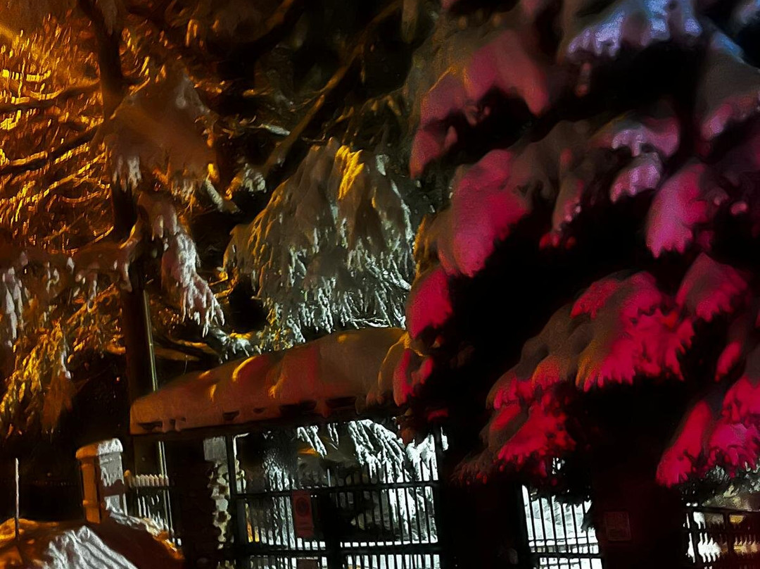 Limone Piemonte Comprensorio Sciistico-Limone Piemonte必去景点