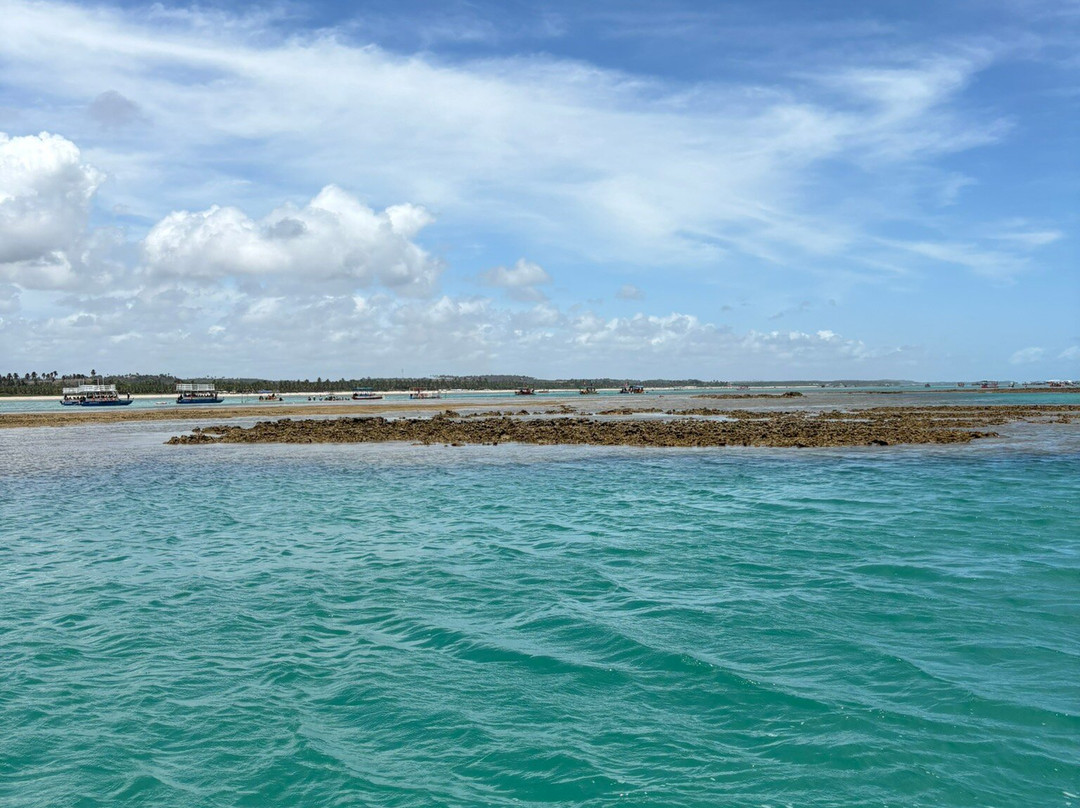 Piscinas Naturais-Sao Miguel dos Milagres必去景点
