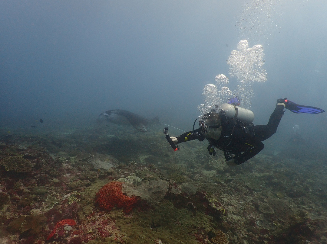 Pure Dive Resort-珀尼达岛必去景点