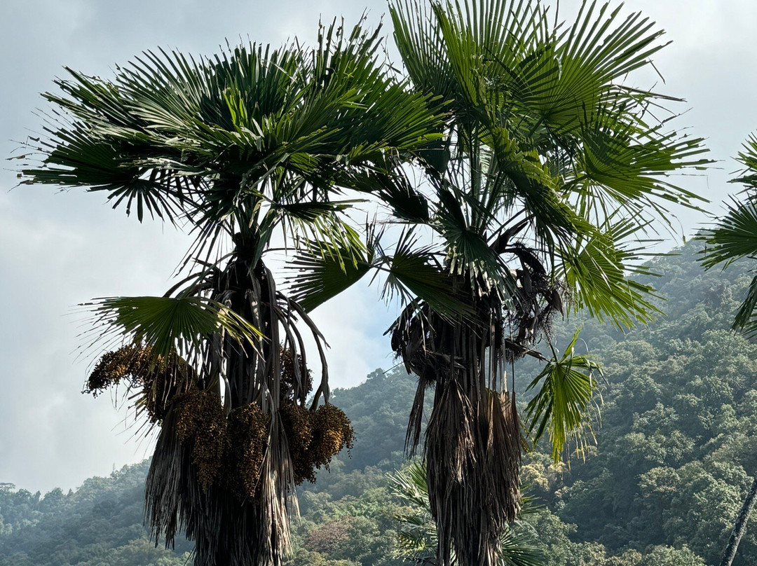 Gorakha Nath Temple Gorkha-Gorkha必去景点
