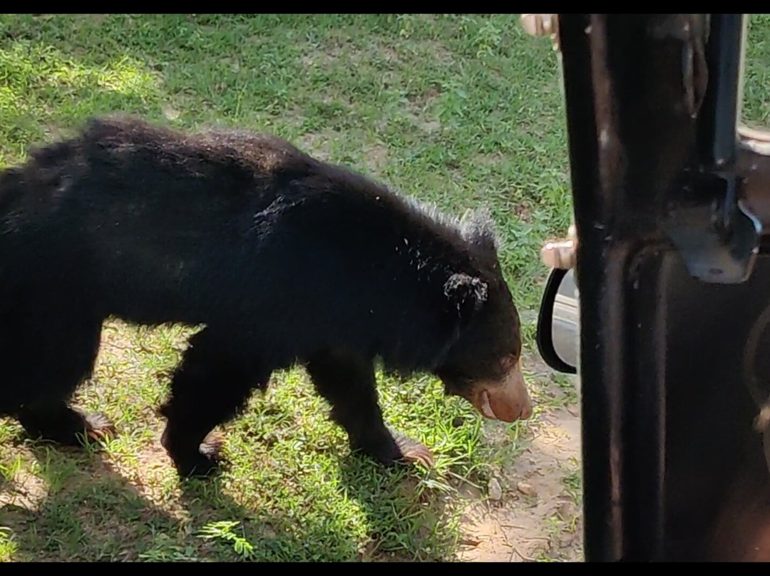 Southern Wild Safari-蒂瑟默哈拉默必去景点