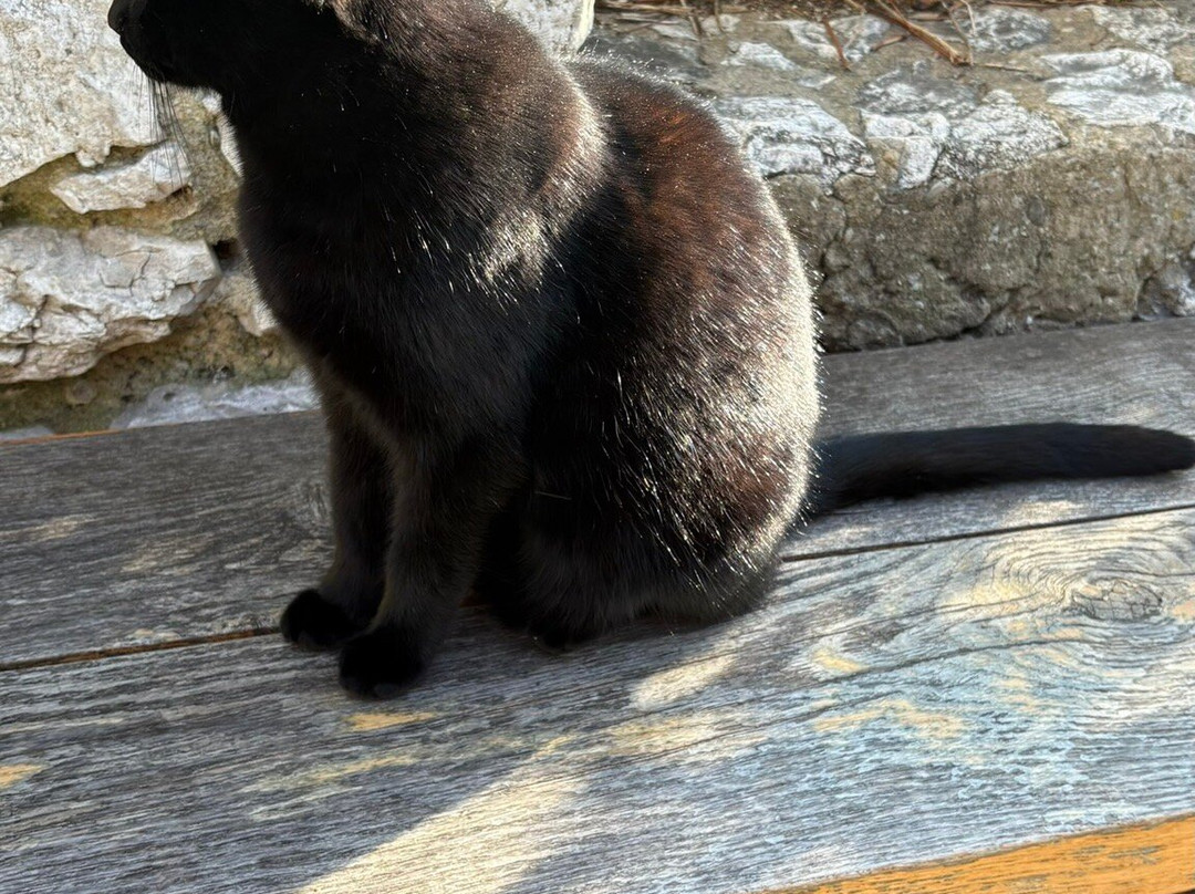 席米埃圣母修道院-尼斯必去景点