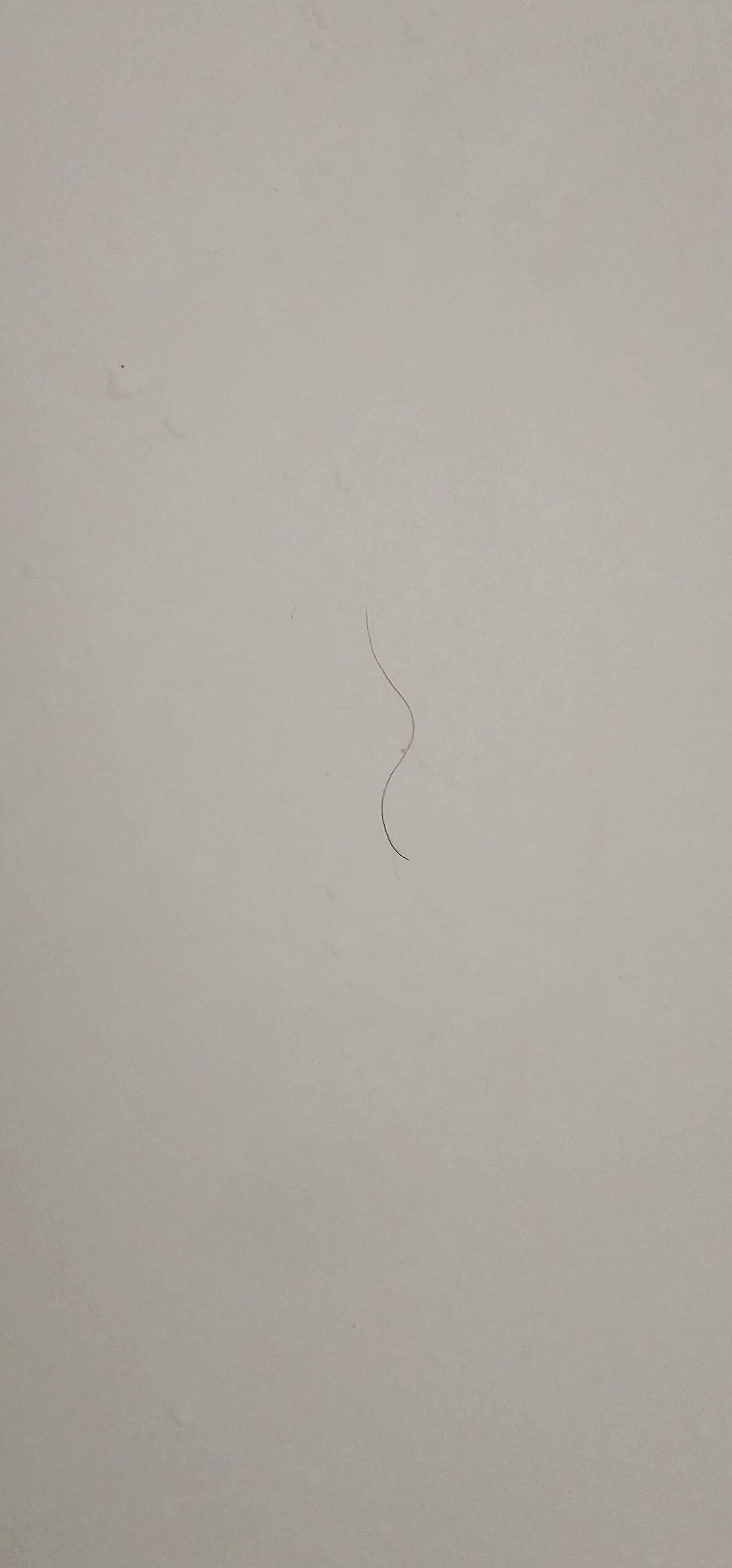 巴卡特里厅酒店-浴室