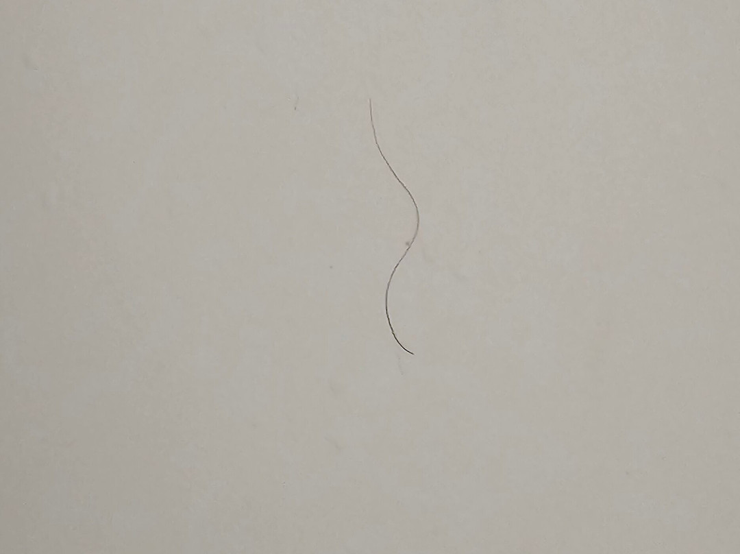 巴卡特里厅酒店主图