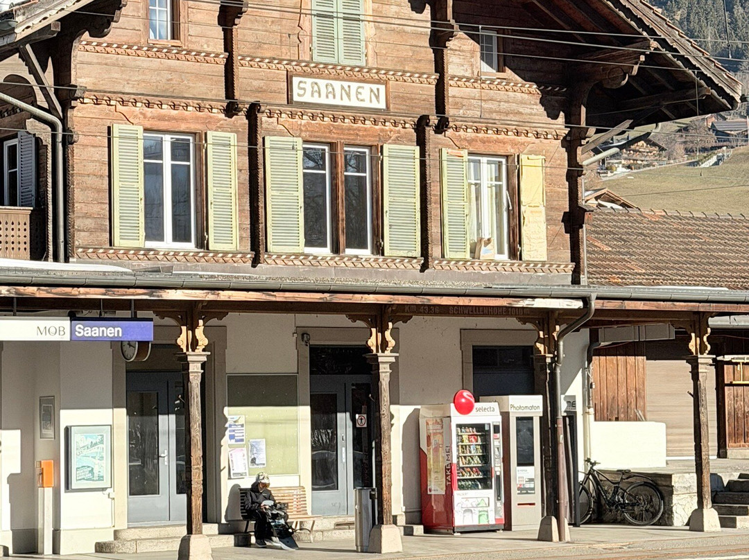 Erwin Tours of Switzerland-苏黎世必去景点