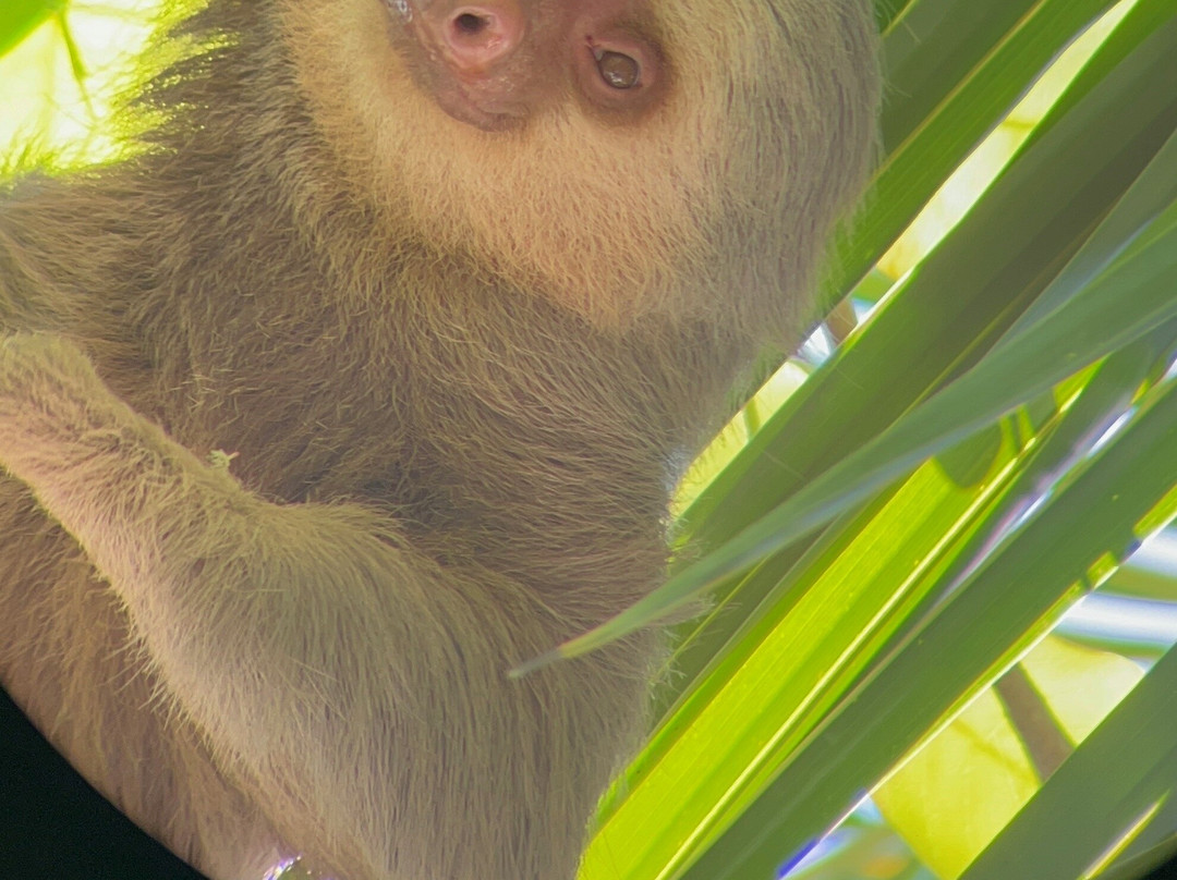 0S3 Private Tours-哈科必去景点