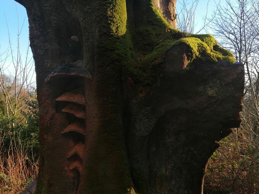 Slieve Gullion Forest Park-纽里必去景点