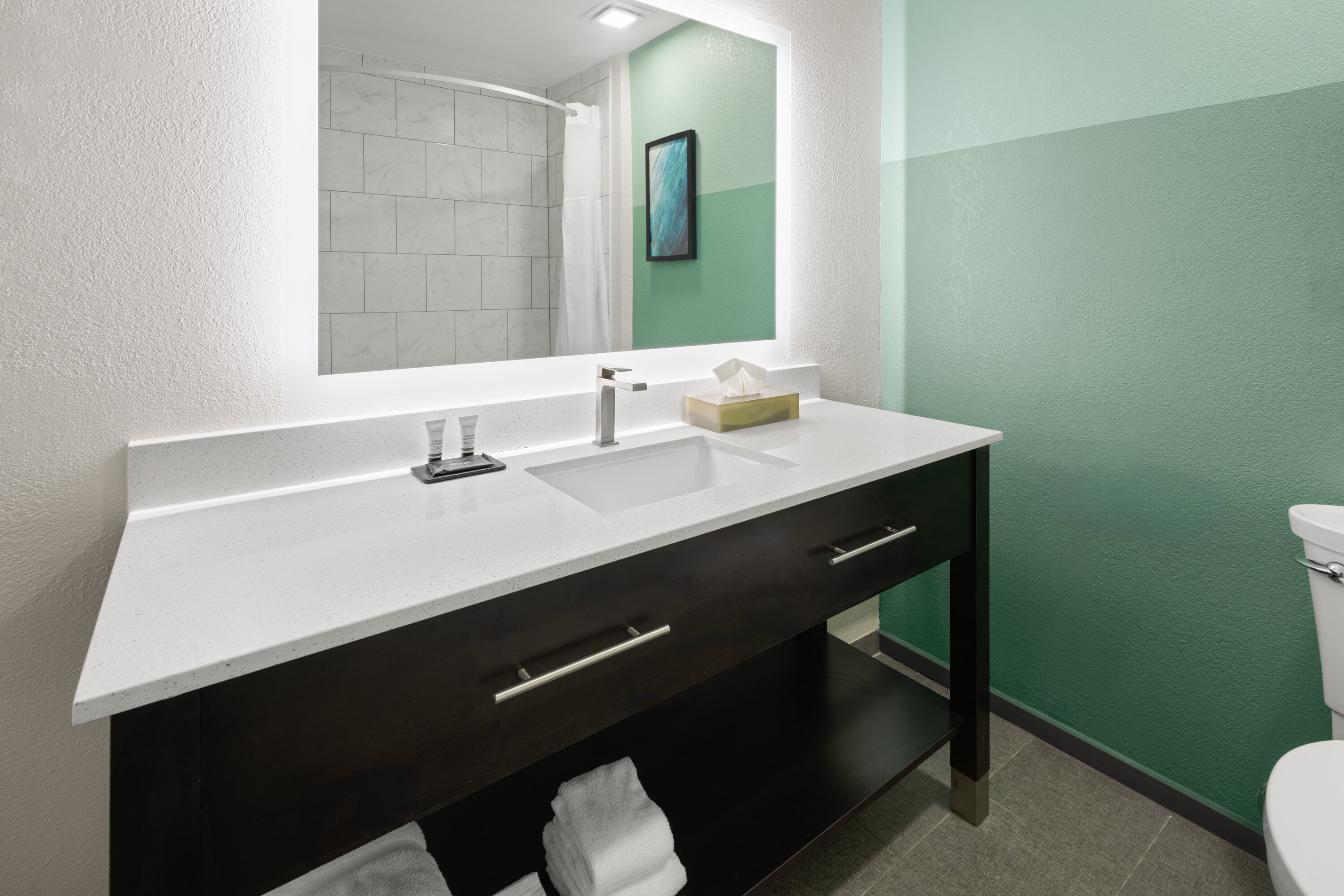 Wingate by Wyndham, Kings Bay Naval Base-浴室